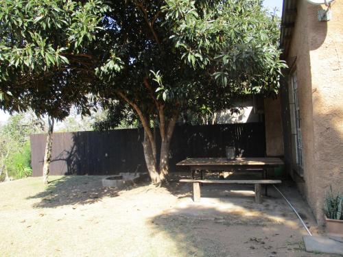 Jardín al aire libre en Leopard Tree Retreat