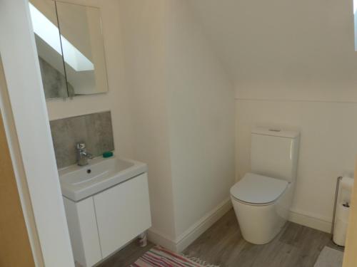 a bathroom with a toilet and a sink at Netherleigh in Willaston