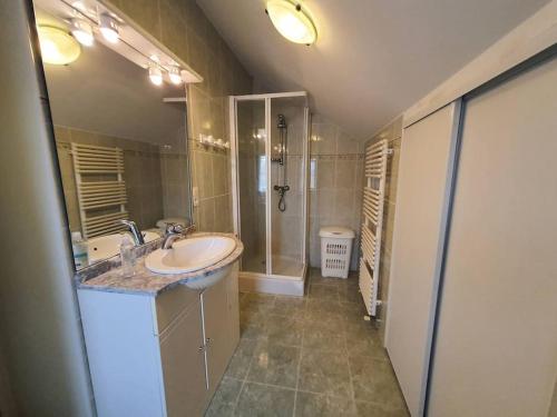 ein Bad mit einem Waschbecken und einer Dusche in der Unterkunft Location à Lannes - Clévacances 3 clés in Lannes