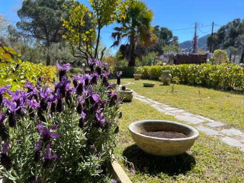 Сад в Stylish Maisonette with 3 Bedrooms in Vourvourou, Greece