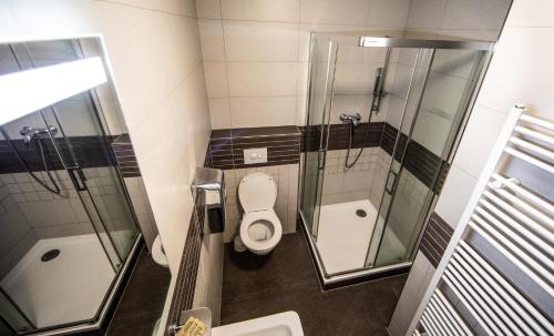 La salle de bains est pourvue de toilettes et d'une douche en verre. dans l'établissement Pivovar Lyer, à Modrava