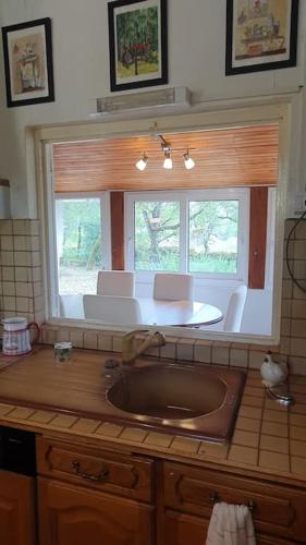 une cuisine avec un évier et une fenêtre dans l'établissement Maison sur un terrain boisé proche de Rocamadour., à Montvalent