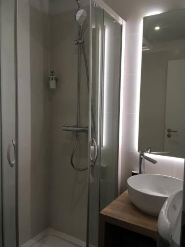a bathroom with a glass shower and a sink at Gîtes De La Bonne Etoile in Geispolsheim