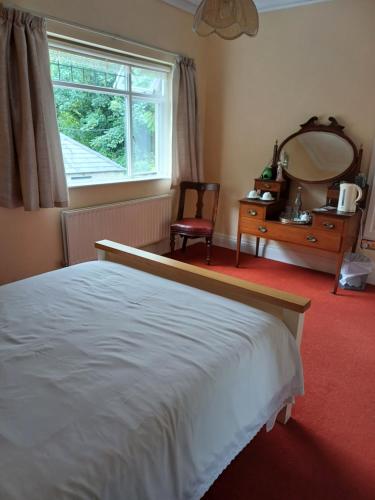 a bedroom with a bed and a mirror and a chair at Lara, Maynooth W23P9H6 in Maynooth