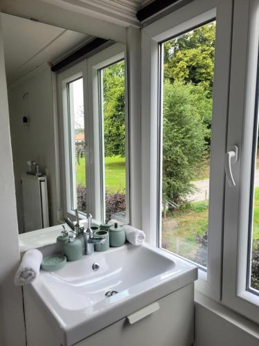 un bagno con lavandino e finestra di La Maison des Roses a Francorchamps