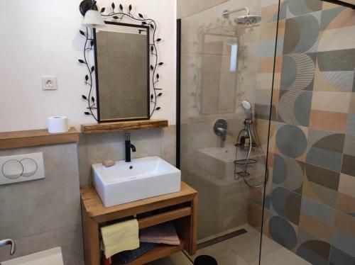 a bathroom with a sink and a shower with a mirror at Villa Zen in Prizba