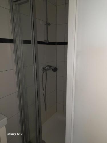 La salle de bains est pourvue d'une douche avec une porte en verre. dans l'établissement App Seaview Albert I, à Ostende