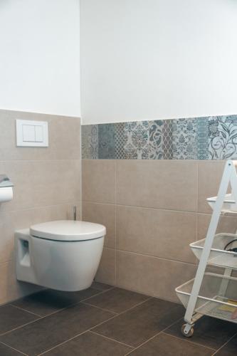a bathroom with a white toilet and a shelf at Alb Appartements in Albstadt