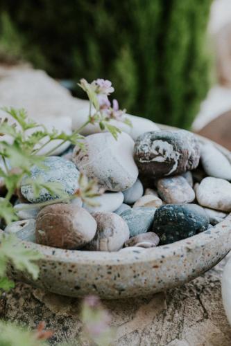 a stone bowl filled with rocks and a plant at Villa Avgoustis in Pachna