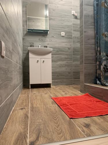 a bathroom with a sink and a red rug at Apartmány JG Patince in Patince