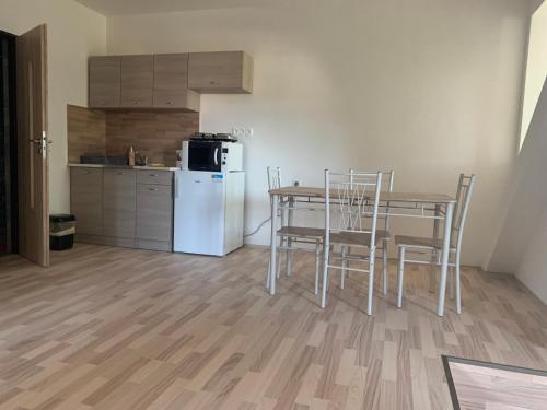 Η κουζίνα ή μικρή κουζίνα στο Apartmány JG Patince