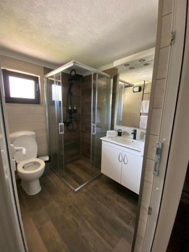 a bathroom with a shower and a toilet and a sink at Vikendica Bella in Bihać