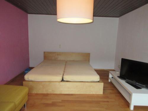 a small bedroom with a bed and a tv at Ferienwohnung in Waldnähe in Mossautal