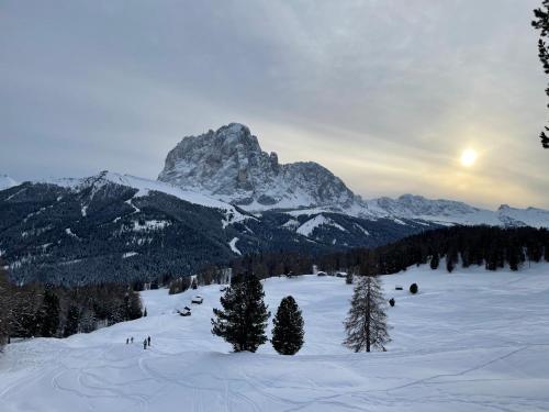 a ski slope with a mountain in the background at Apartments Mauriz in Selva di Val Gardena