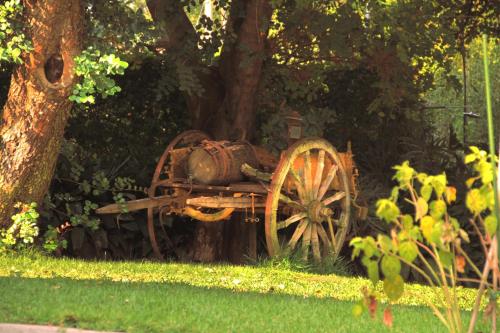 Villa San Bartolomeo – Photos 4
