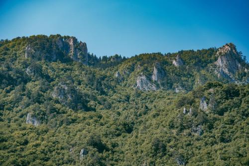 an image of a mountain with trees on it at Vucja Gora in Foča