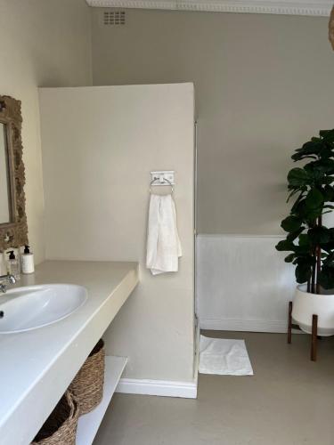 a bathroom with a sink and a potted plant at Hartebeeskraal Selfcatering cottage in Paarl