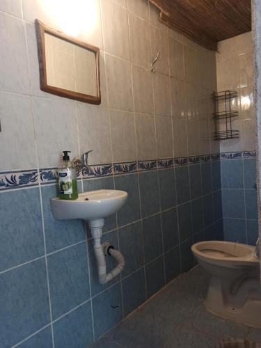 a bathroom with a sink and a toilet at Fıstık Doğa Evi in Muğla