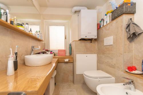 ein kleines Bad mit einem Waschbecken und einem WC in der Unterkunft Appartamenti Marangon in Falcade