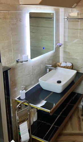 a bathroom with a large white sink on a counter at Apartman Scepanovic in Nikšić