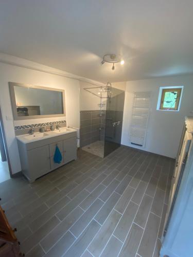 a bathroom with a shower and a sink and a mirror at Les Loisons in Beauvoir