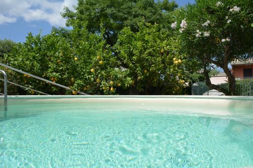 a swimming pool with an orange tree in the background at Triskelion in Nunziata