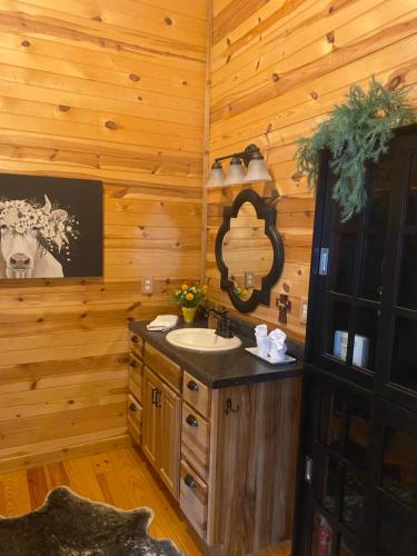 a bathroom with a sink in a room with wooden walls at City on a Hill at Spring Creek in Fredericksburg