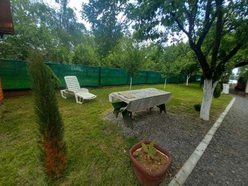 Κήπος έξω από το Apartmani Gavrilović