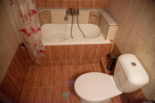 內亞阿塔基的住宿－Modern apartment at Nea Artaki，一间带卫生间和浴缸的小浴室