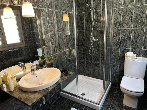 a bathroom with a shower and a toilet and a sink at Casa de Praia Guest House in Labruge