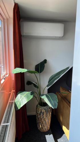 a plant in a vase sitting in a room at Enschede83 in Enschede