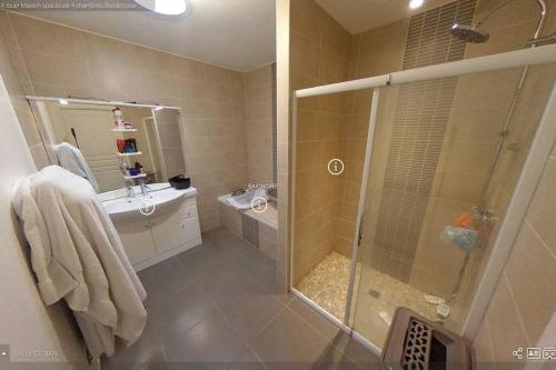 une salle de bain avec douche et lavabo dans l'établissement La maison du bonheur, à Biscarrosse