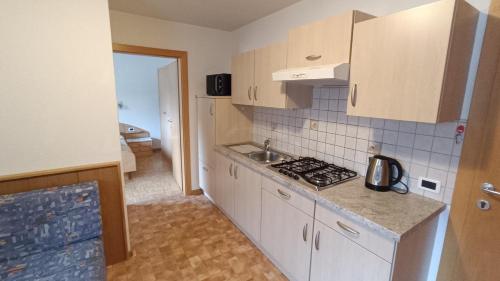 Una cocina o zona de cocina en Apartments Gana