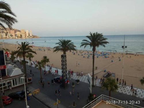 Estudio playa levante