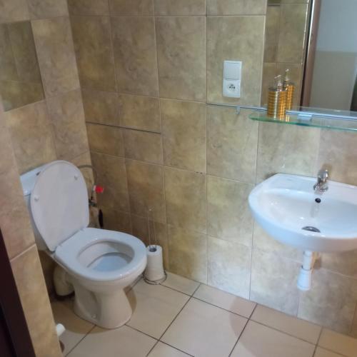 a bathroom with a toilet and a sink at Agroturystyka Makowscy in Trzcianka