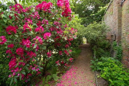 Gallery image of Boreham House in Herstmonceux