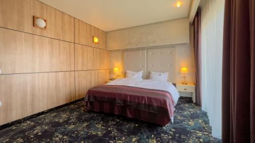 een hotelkamer met een bed en twee lampen bij Hotel Tolea in Târgovişte