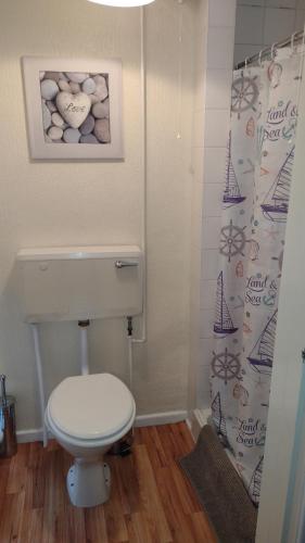 a bathroom with a toilet and a picture on the wall at The Kathrene in Fleetwood