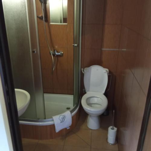 a small bathroom with a toilet and a shower at Agroturystyka Makowscy in Trzcianka