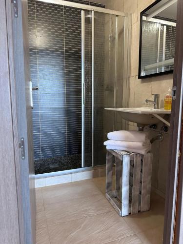 a bathroom with a shower and a sink and a toilet at L'Olivera Casa Rural in Castellbisbal