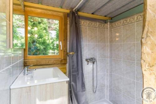 a bathroom with a sink and a shower at Domaine de Valmeray la roulotte d'Elise in Airan