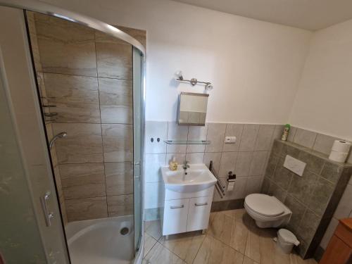布爾哈里的住宿－Ubytovani Klára，带淋浴、卫生间和盥洗盆的浴室