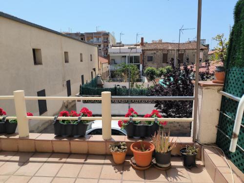 einen Balkon mit einem Haufen Topfpflanzen in der Unterkunft Nice house at the beach near Barcelona, new in Premiá de Mar