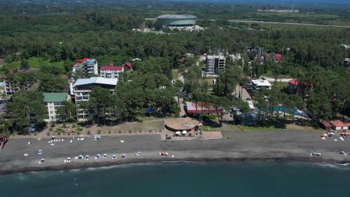 an aerial view of a beach with a group of people at Lilus Apartament Shekvetili in Shekvetili