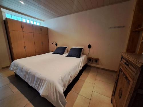 a bedroom with a large white bed with blue pillows at Gîte de l'Entreville in Lobbes