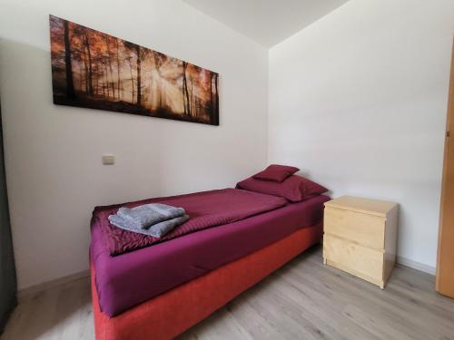 1 cama en una habitación con un cuadro en la pared en Ferienwohnung Unterneukirchen mit Garten-Terrasse, en Unterneukirchen