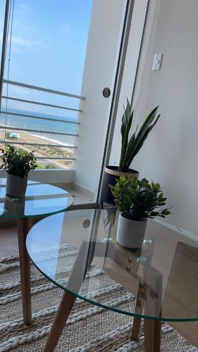 einen Glastisch mit Topfpflanzen darauf in einem Zimmer in der Unterkunft Hermoso departamento con vista al mar in Lima