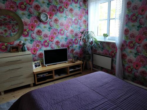 Μια τηλεόραση ή/και κέντρο ψυχαγωγίας στο Rosy Apartment near Kuressaare Castle