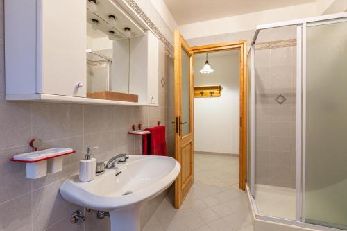 a bathroom with a sink and a shower at Maison Bertines I in Casteldelfino