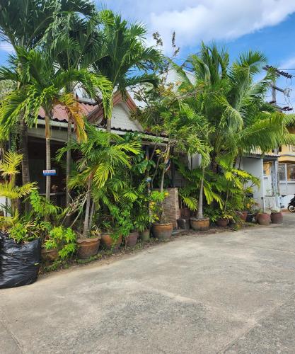 a group of palm trees in front of a building at Bungalows Musch Kamala Phuket in Kamala Beach